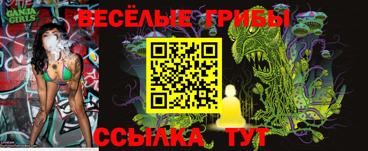 Галлюциногенные грибы Psilocybine cubensis Кубинка
