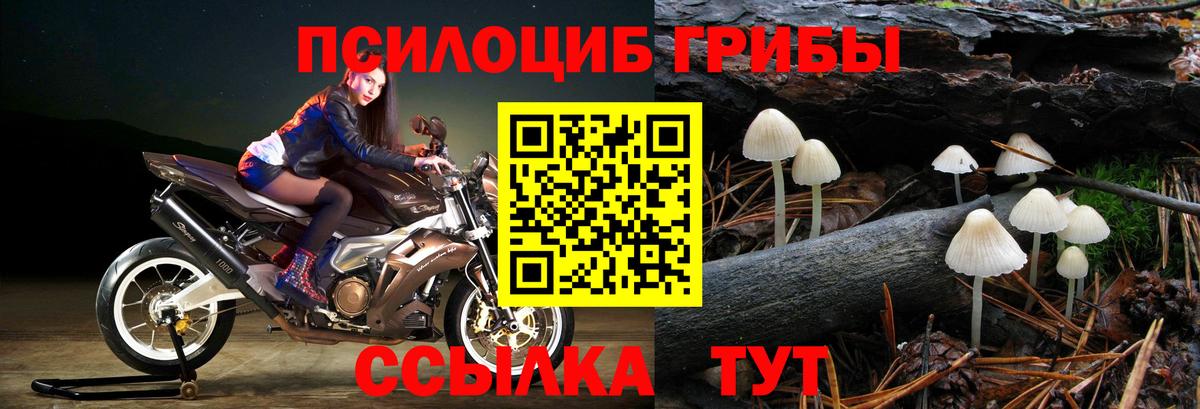 Псилоцибиновые грибы GOLDEN TEACHER  Вход с VPN  Кубинка 